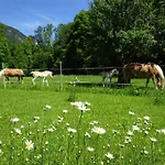 Auhaus * Bad Reichenhall