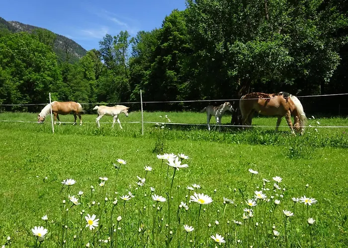 Auhaus * Bad Reichenhall